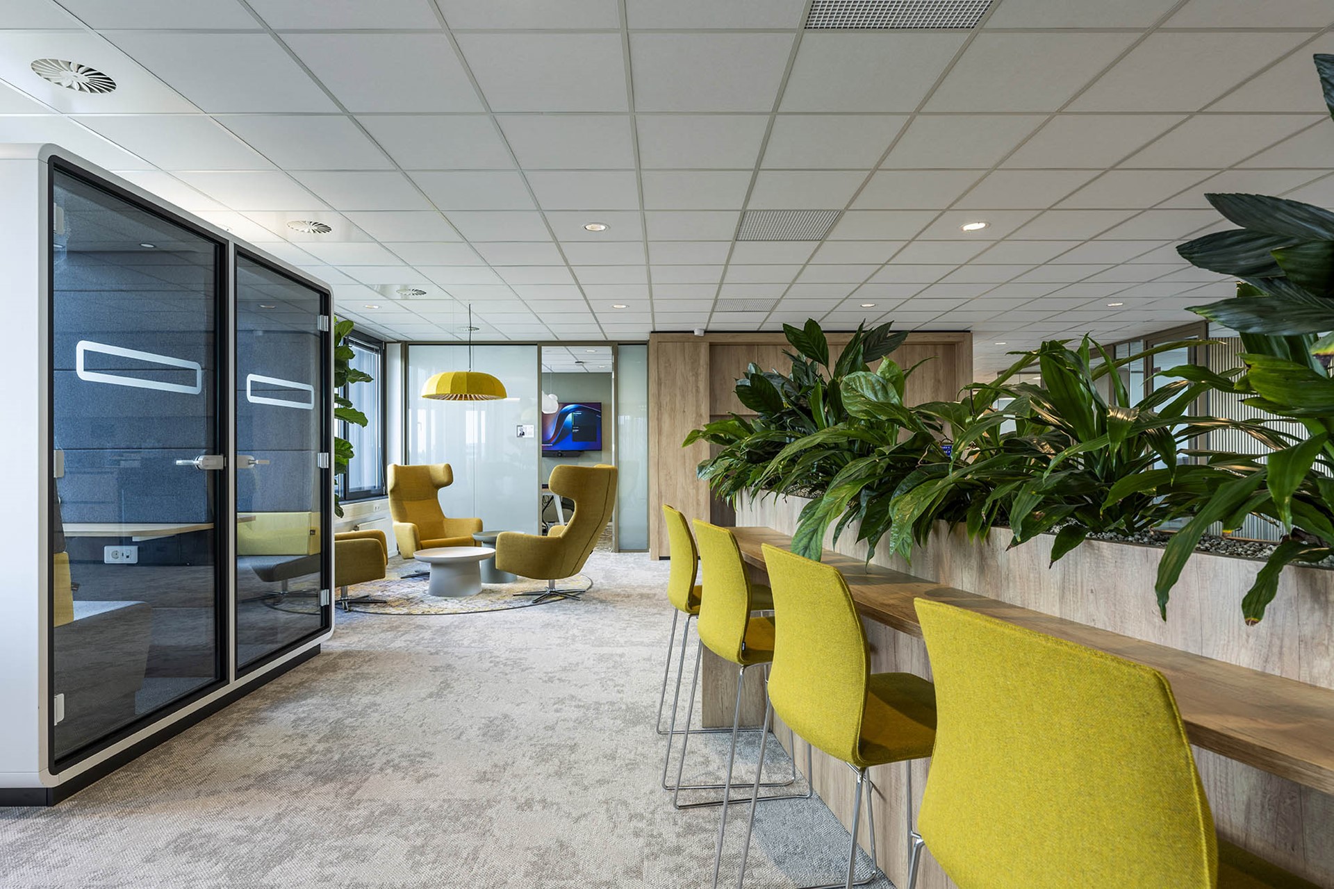 LR Centramed 018 Paul Starink