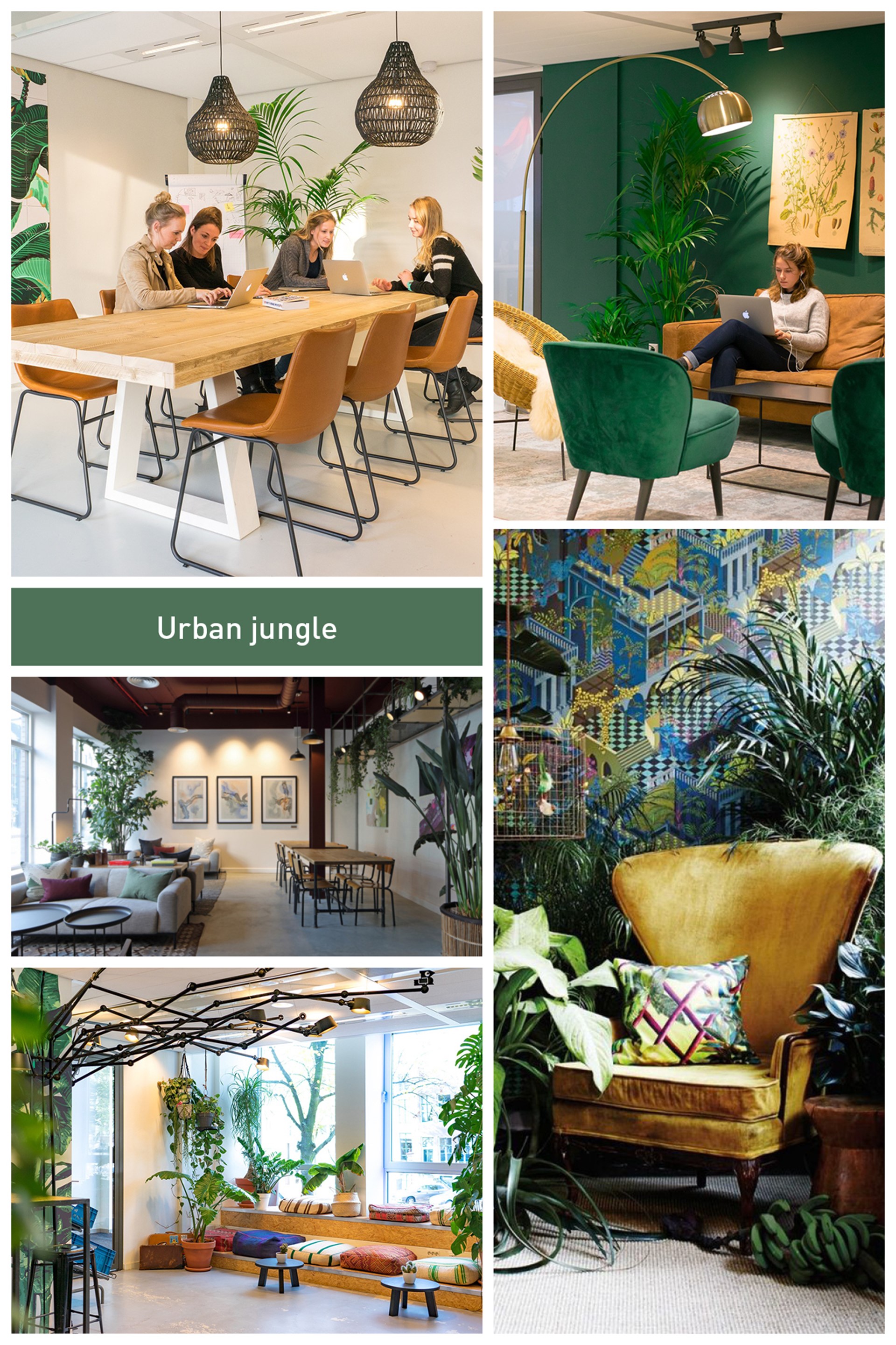 Moodboard Urban Jungle